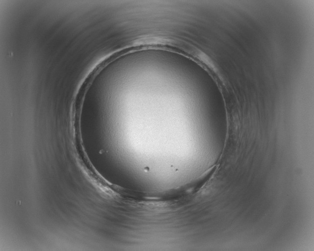 X0000067831124200604171120