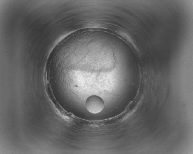 X0000067831125200604171120