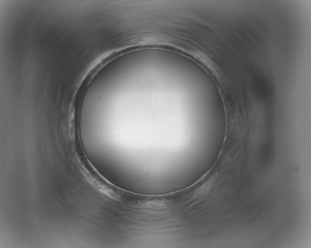 X0000067831126200604171120