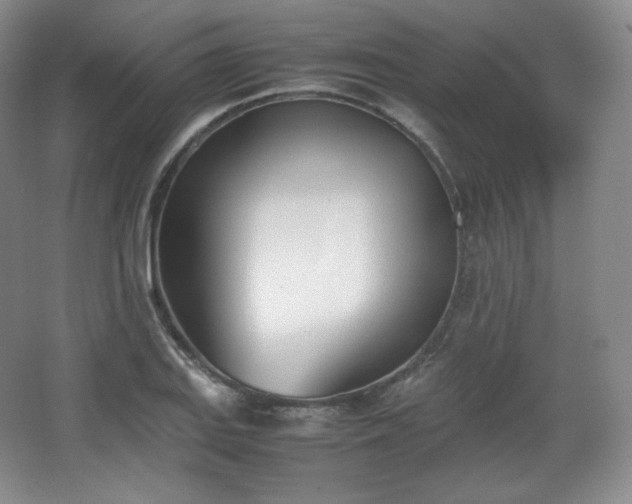 X0000067831127200604171120