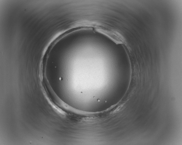 X0000067831128200604171120