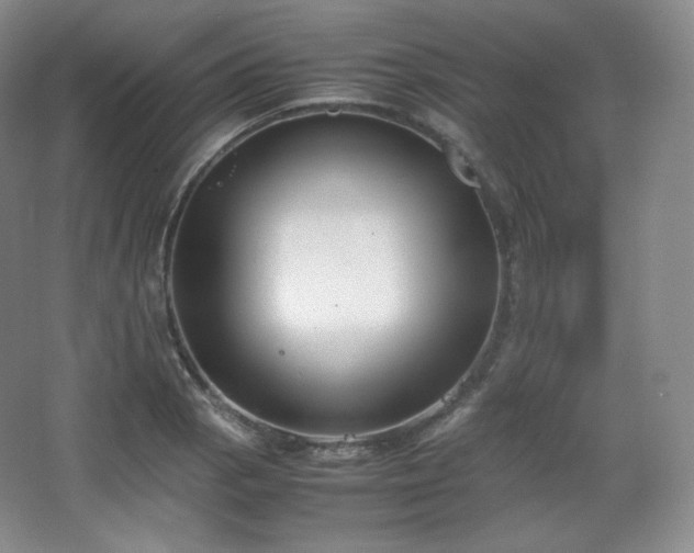 X0000067831129200604171120