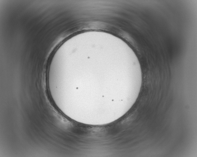 X0000067831130200604171120