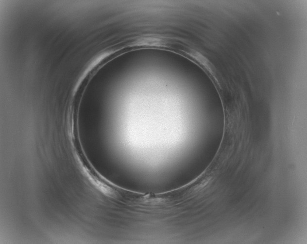 X0000067831131200604171120