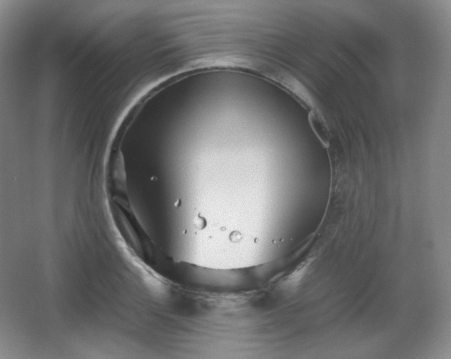 X0000067831132200604171120