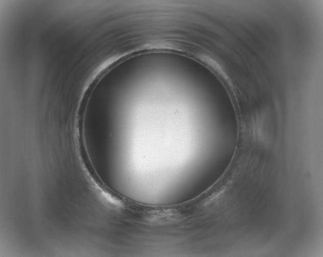 X0000067831133200604171120