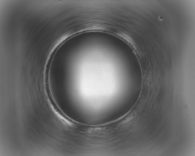 X0000067831135200604171120