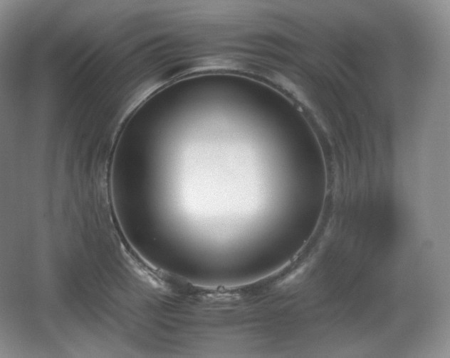 X0000067831137200604171120