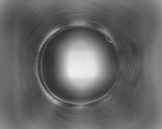 X0000067831139200604171120