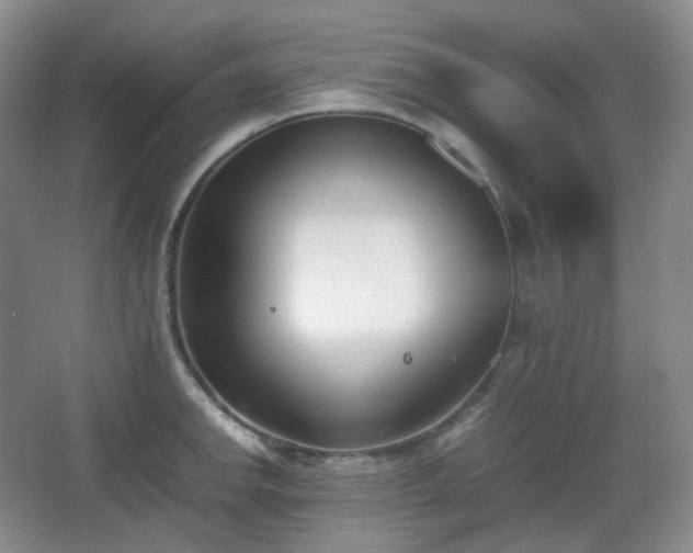 X0000067831142200604171120