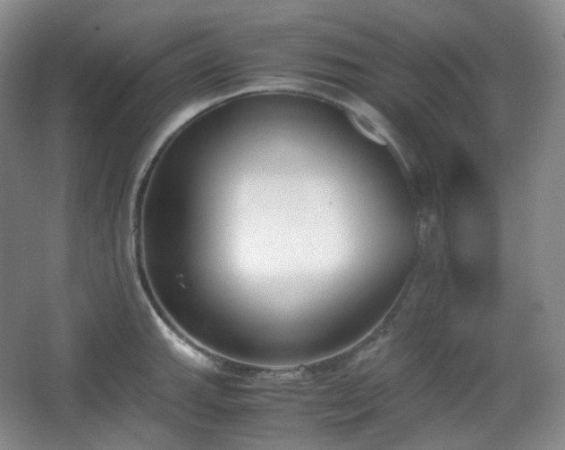 X0000067831143200604171120