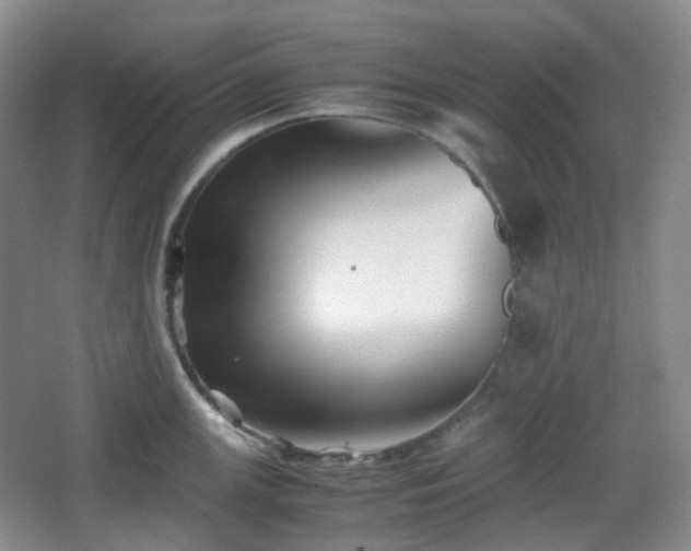 X0000067831147200604171120