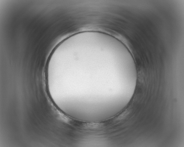 X0000067831150200604171120