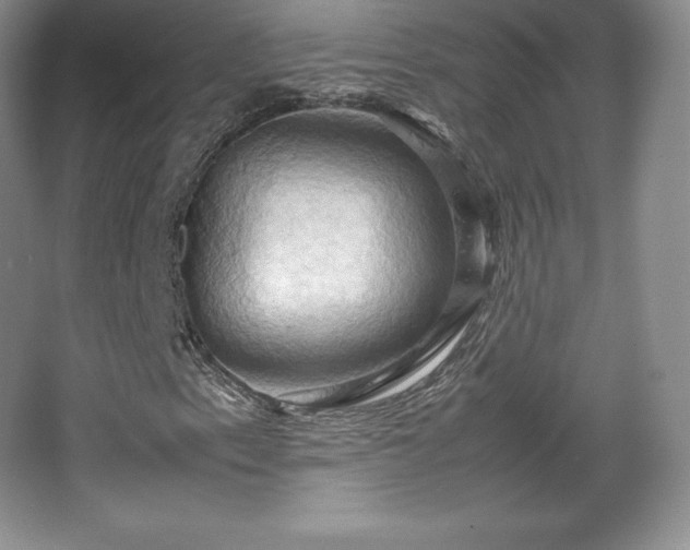 X0000067831153200604171119