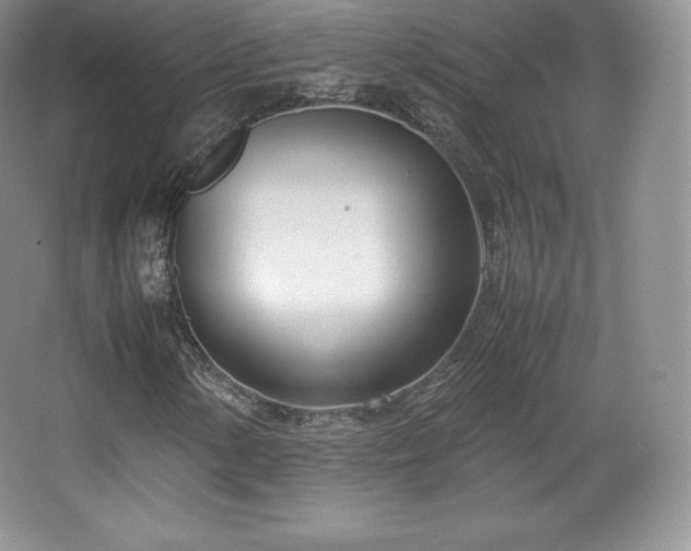 X0000067831154200604171119