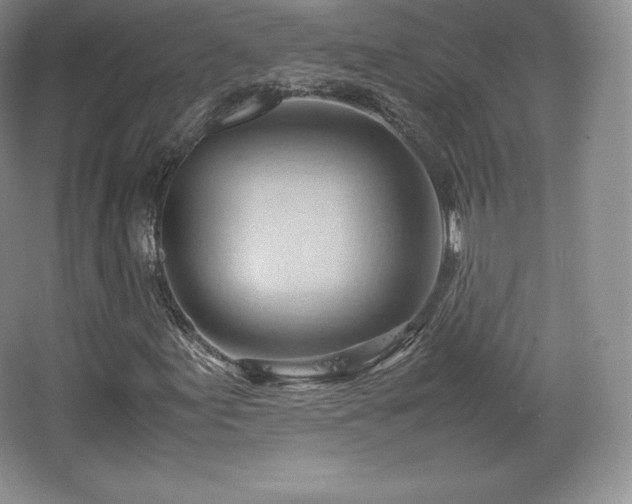 X0000067831155200604171119