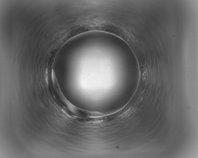 X0000067831156200604171119