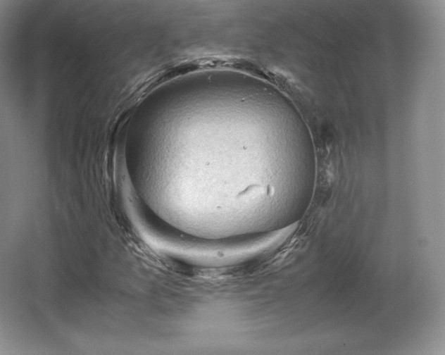 X0000067831157200604171119