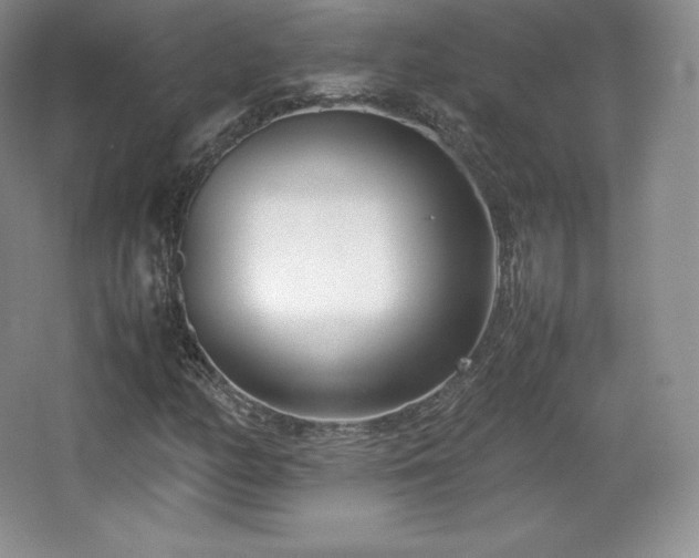 X0000067831158200604171119