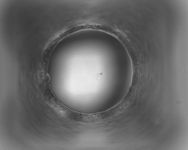 X0000067831159200604171119