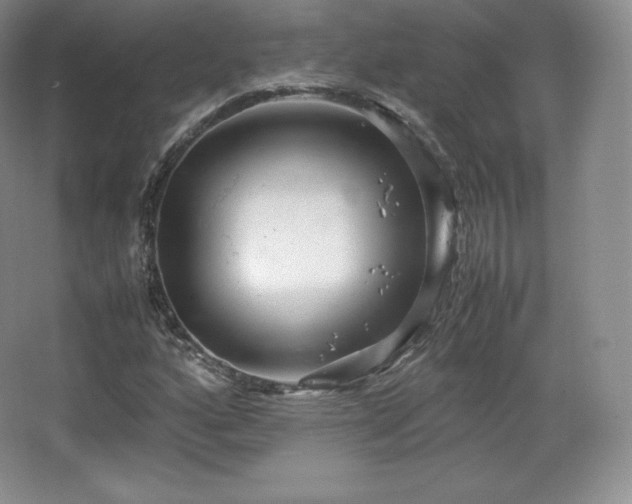 X0000067831160200604171119