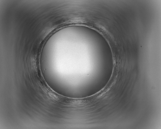 X0000067831162200604171119