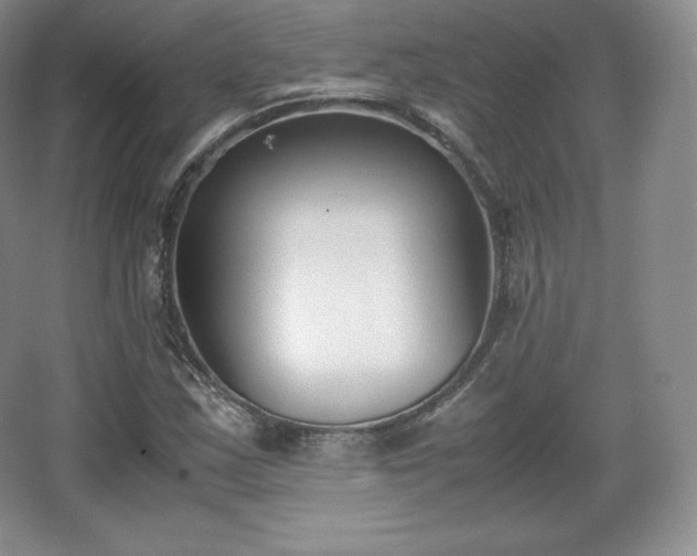 X0000067831163200604171119