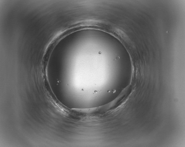 X0000067831164200604171119