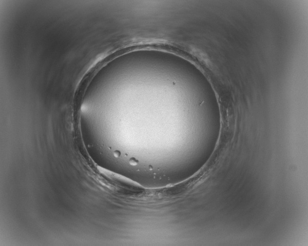 X0000067831165200604171119