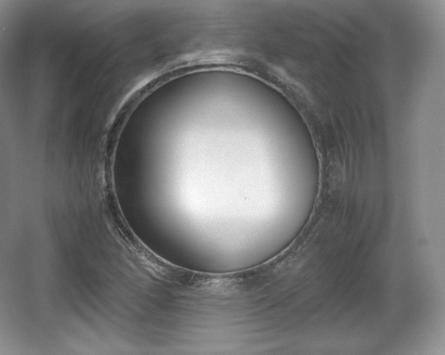 X0000067831166200604171119