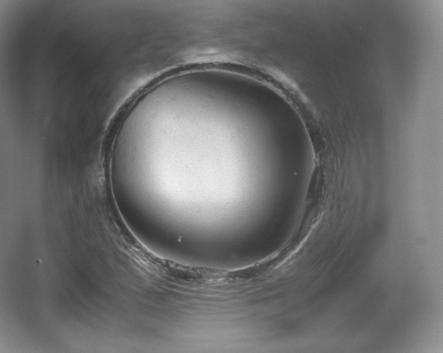 X0000067831167200604171119