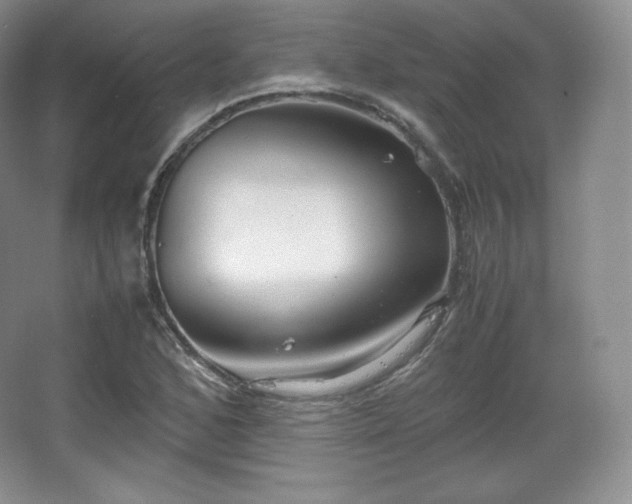 X0000067831168200604171119