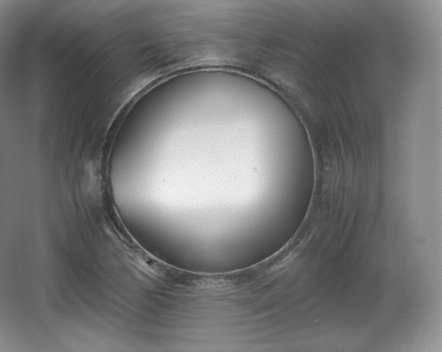 X0000067831170200604171119