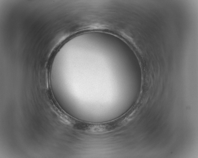 X0000067831171200604171119