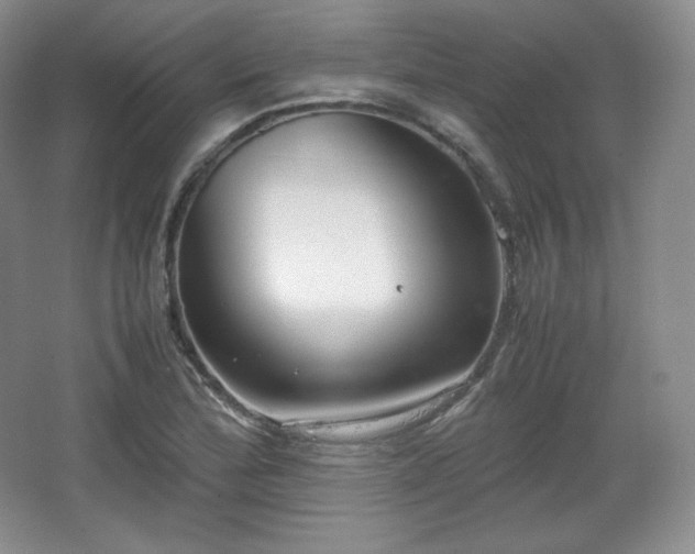 X0000067831172200604171119