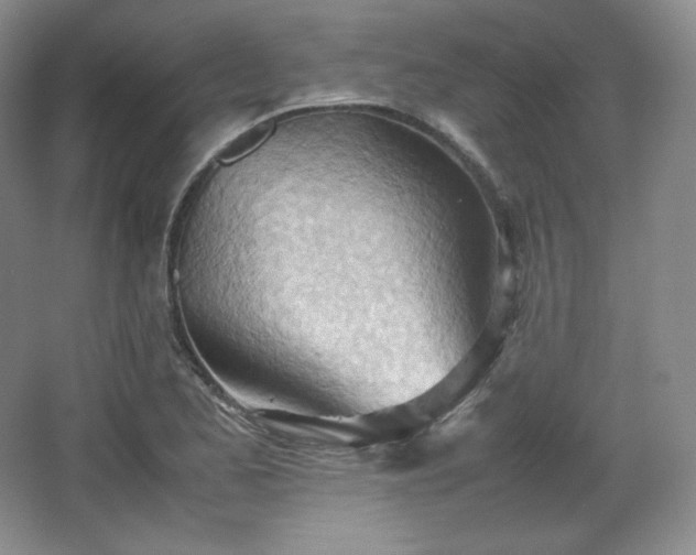 X0000067831173200604171119