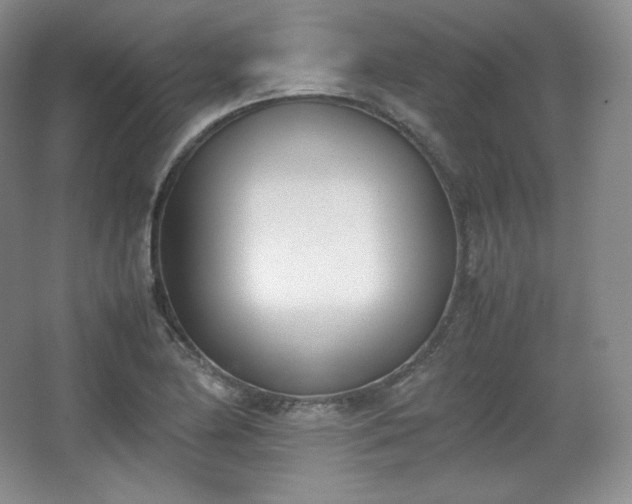 X0000067831174200604171119