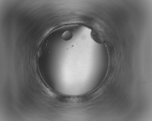 X0000067831177200604171119