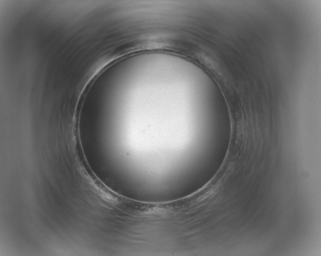 X0000067831178200604171119