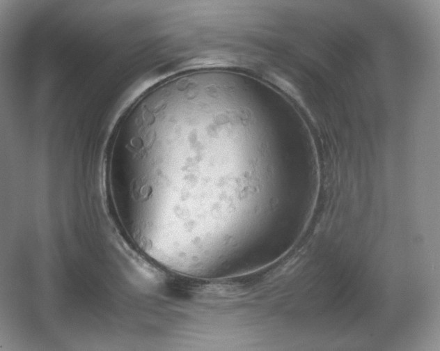 X0000067831179200604171119