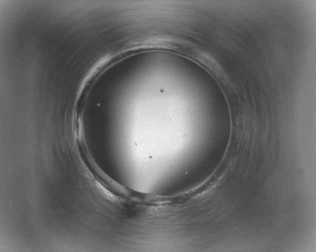 X0000067831180200604171119