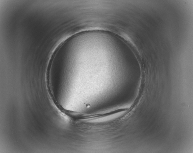 X0000067831181200604171119