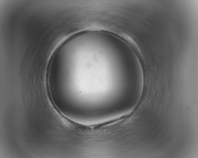 X0000067831183200604171119