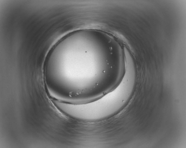 X0000067831184200604171119