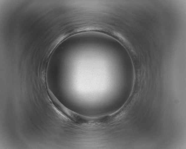 X0000067831185200604171119