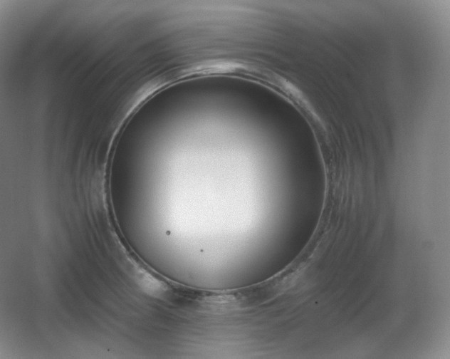 X0000067831186200604171119