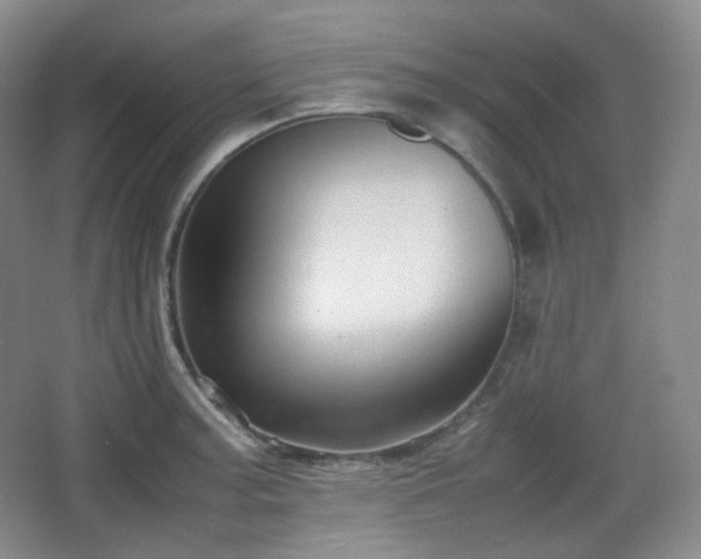 X0000067831187200604171119