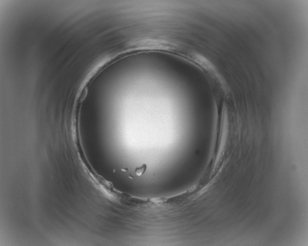 X0000067831188200604171119