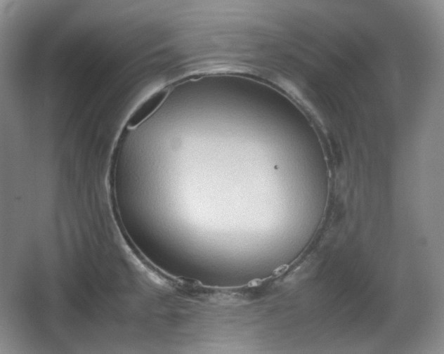 X0000067831189200604171119