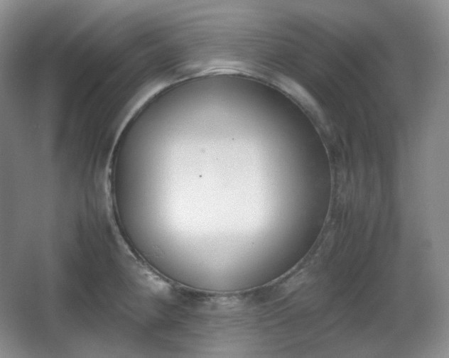 X0000067831190200604171119